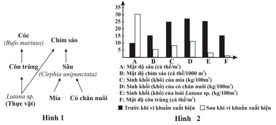 Đề thi thử bám sát đề minh họa 2024 môn Sinh