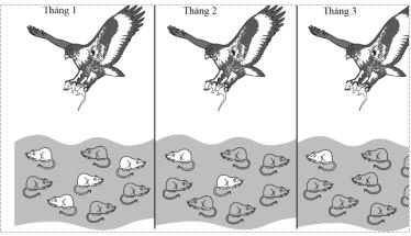 Đề thi thử bám sát đề minh họa 2024 môn Sinh