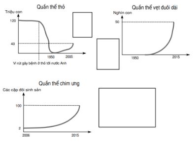 Đề thi thử bám sát đề minh họa 2024 môn Sinh