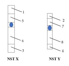 Đề thi thử bám sát đề minh họa 2024 môn Sinh