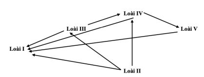Đề thi thử bám sát đề minh họa 2024 môn Sinh