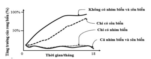Đề thi thử bám sát đề minh họa 2024 môn Sinh