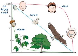 Đề thi thử bám sát đề minh họa 2024 môn Sinh