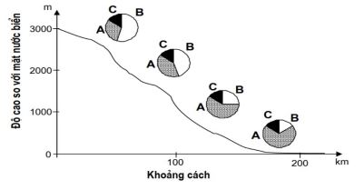 Đề thi thử bám sát đề minh họa 2024 môn Sinh