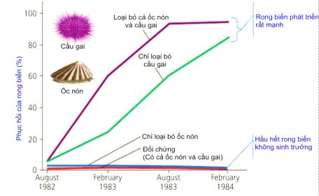 Đề thi thử bám sát đề minh họa 2024 môn Sinh