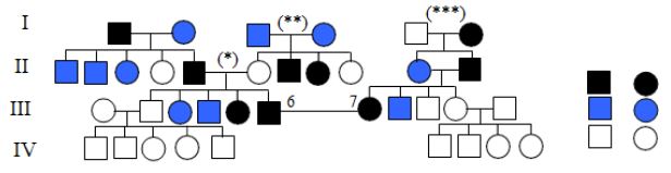 Đề thi thử bám sát đề minh họa 2024 môn Sinh