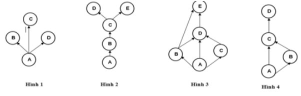 Đề thi thử bám sát đề minh họa 2024 môn Sinh