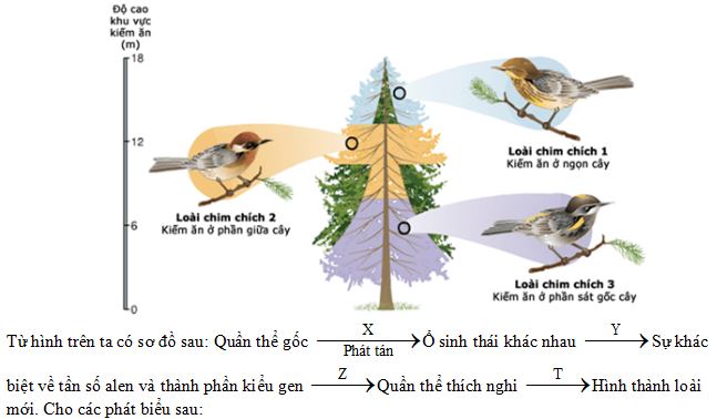 Đề thi thử bám sát đề minh họa 2024 môn Sinh