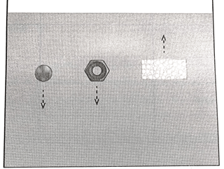 Hãy biểu diễn các lực tác dụng vào viên bi