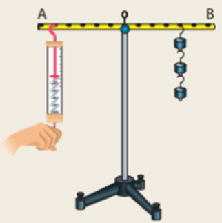 Từ kết quả thí nghiệm ở Hình 19.1 SGK KHTN 8