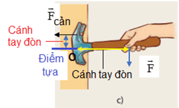 Xác định điểm tựa, cánh tay đòn trong các trường hợp