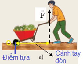Xác định điểm tựa, cánh tay đòn trong các trường hợp