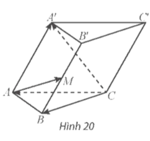 Giải Toán 12 trang 47 Chân trời