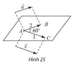 Giải Toán 12 trang 49 Chân trời