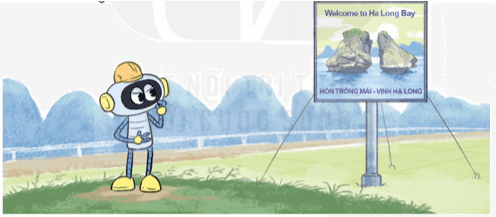 Toán lớp 5 Kết nối tri thức Bài 5