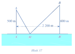 Giải Toán 12 trang 48 Cánh diều