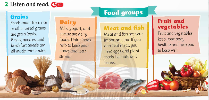 Family and Friends 5 National Edition Fluency Time 1 Lesson 2