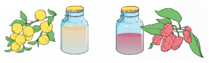 Toán lớp 5 Kết nối tri thức Bài 20