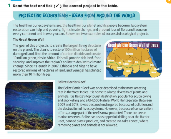 Tiếng Anh 11 Global Success Unit 10 Communication and Culture/ CLIL