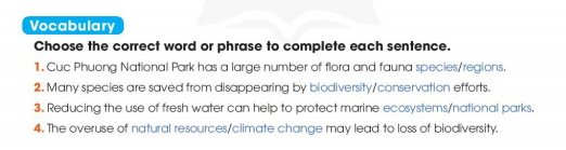 Tiếng Anh 11 Global Success Unit 10 Looking back