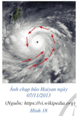 Giải Toán 12 trang 65 Cánh diều