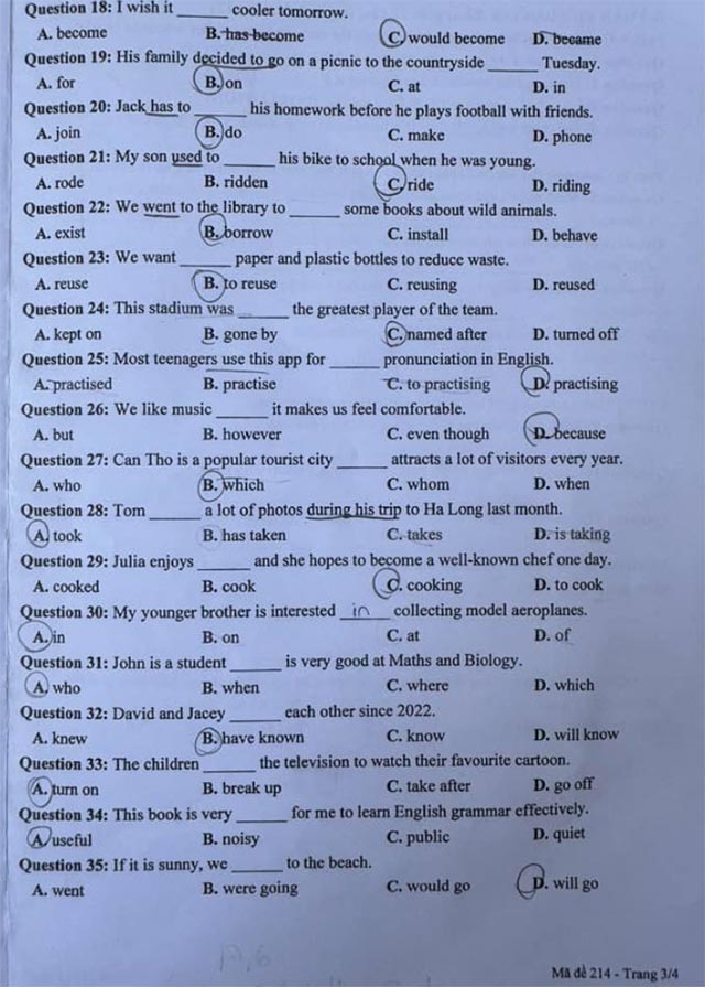 Đề thi tuyển sinh vào lớp 10 môn tiếng Anh Cần Thơ Chính thức 2024