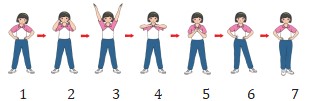 Giáo án Giáo dục Thể chất 5 Chân trời sáng tạo