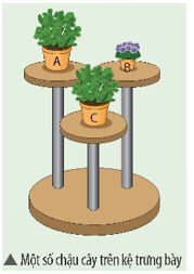 Trong hình dưới đây chậu cây nào có thế năng lớn nhất Giải thích
