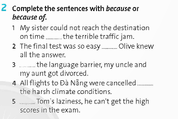 Tiếng Anh 9 Unit 3 Language Focus trang 33