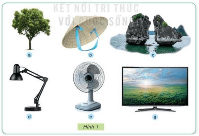 Đối tượng tự nhiên và sản phẩm công nghệ