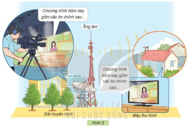 Công nghệ lớp 3 Kết nối tri thức Bài 5