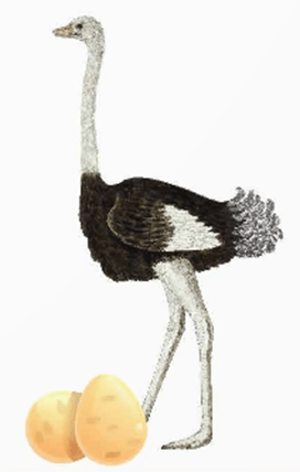 Toán lớp 5 trang 114 Khám phá