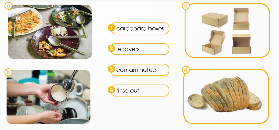 Tiếng Anh 12 Global Success Unit 3 Reading