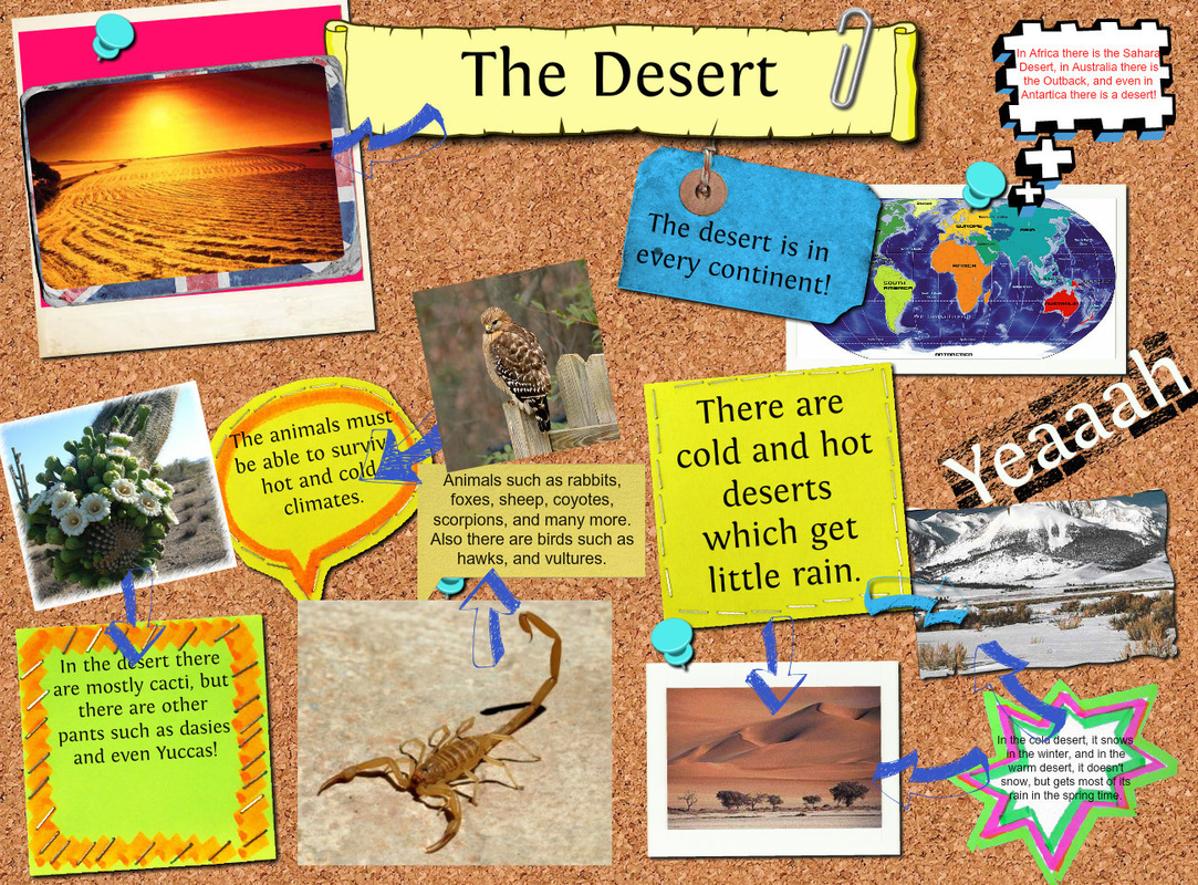 Family and Friends 5 National Edition Fluency Time 2 Lesson 2