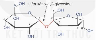 Giải Hóa 12 trang 25 Kết nối