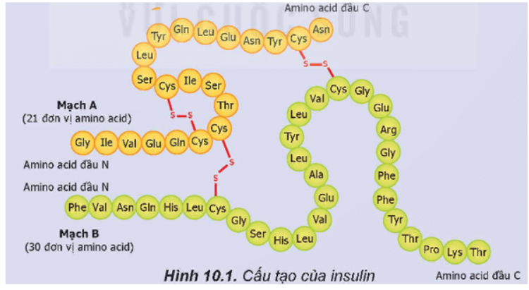 Giải Hóa trang 46 Kết nối