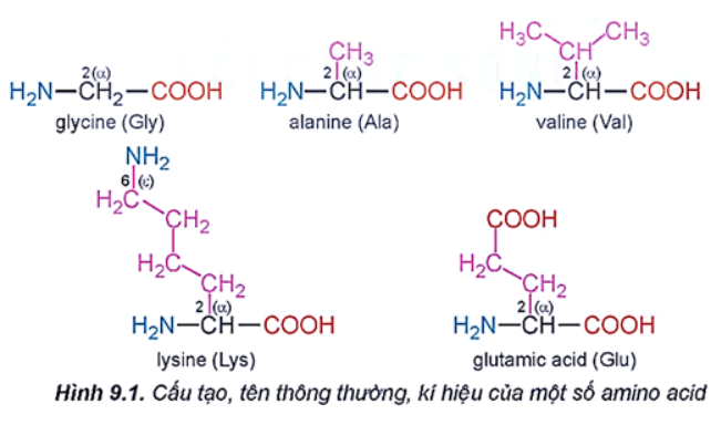 Giải Hóa 12 trang 41 Kết nối