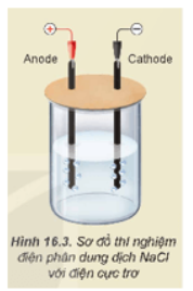 Giải Hoá 12 trang 81 Kết nối