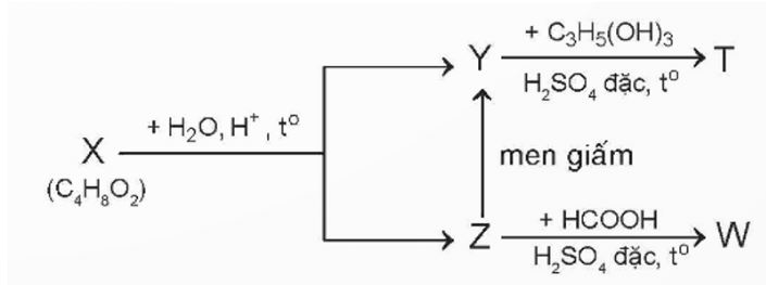 Giải Hóa 12 trang 10 Chân trời