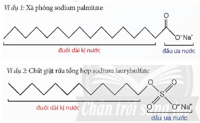 Giải Hóa 12 trang 12 Chân trời