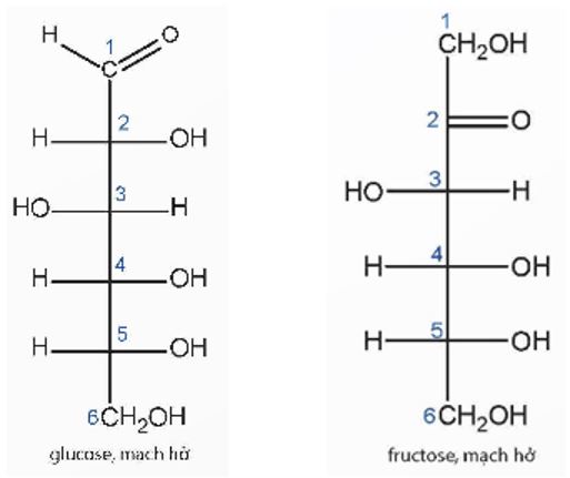Giải Hóa 12 Chân trời sáng tạo bài 3 - Glucose và fructose - VnDoc.com