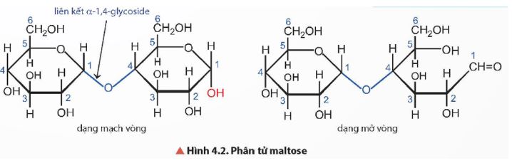 Giải Hóa 12 trang 21 Chân trời