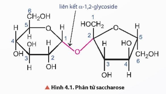 Giải Hóa 12 trang 21 Chân trời