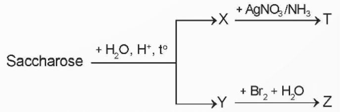 Giải Hóa 12 trang 23 Chân trời