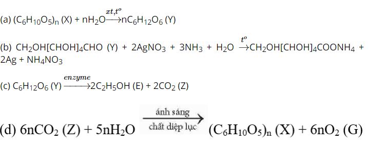 Giải Hóa 12 trang 29 Chân trời