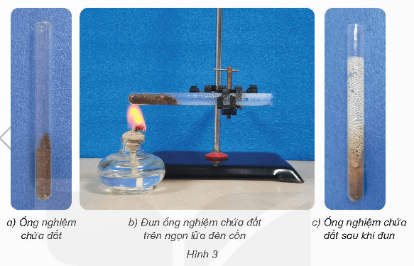 Khoa học lớp 5 Kết nối tri thức Bài 1: Thành phần và vai trò của đất đối với cây trồng