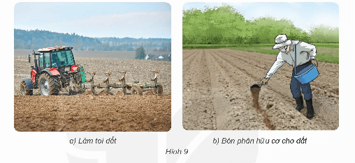 Khoa học lớp 5 Kết nối tri thức Bài 1: Thành phần và vai trò của đất đối với cây trồng