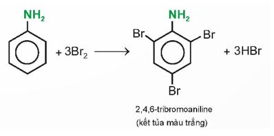 Giải Hóa 12 trang 36 Chân trời