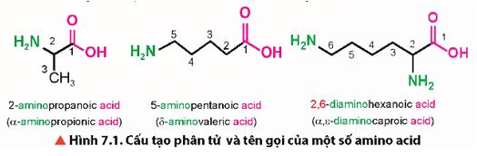 Giải Hóa 12 trang 39 Chân trời