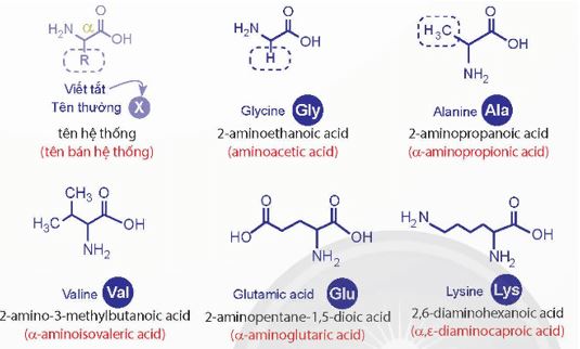 Giải Hóa 12 trang 40 Chân trời